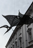 IMG_1228.JPG